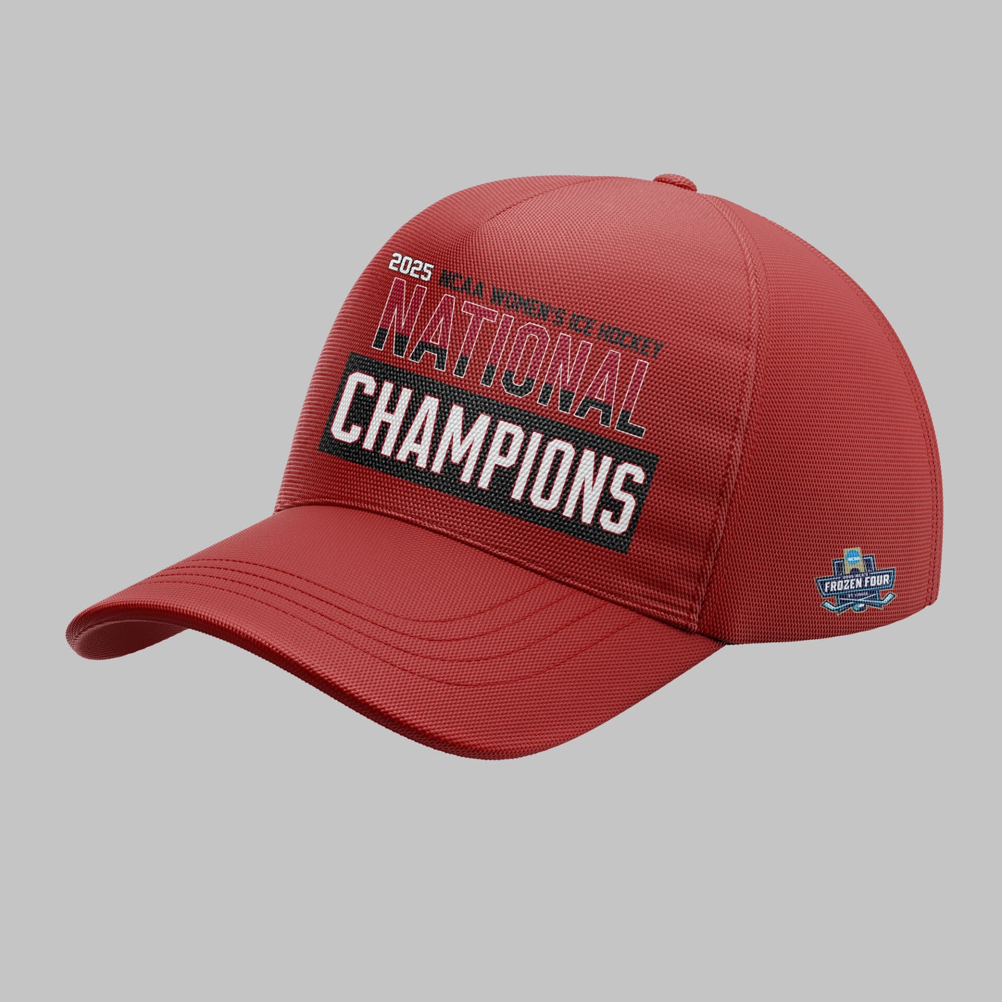 Wisconsin Badgers 2025 Women's Hockey Tournament Champions Hoodie-ND03242512