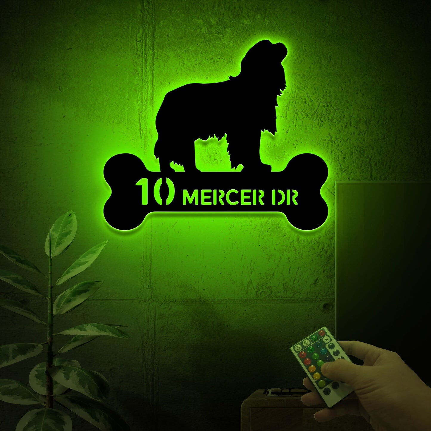 Cavalier King Charles Spaniel Dog Address Sign with Led Light, Address Monogram, Dog Bone Dog House Number, Metal Address Sign for House