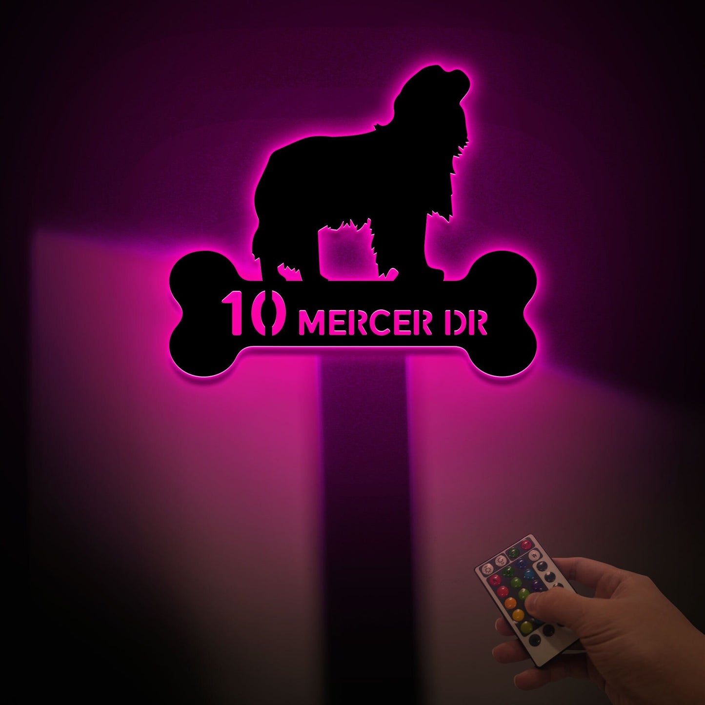 Cavalier King Charles Spaniel Dog Address Sign with Led Light, Address Monogram, Dog Bone Dog House Number, Metal Address Sign for House