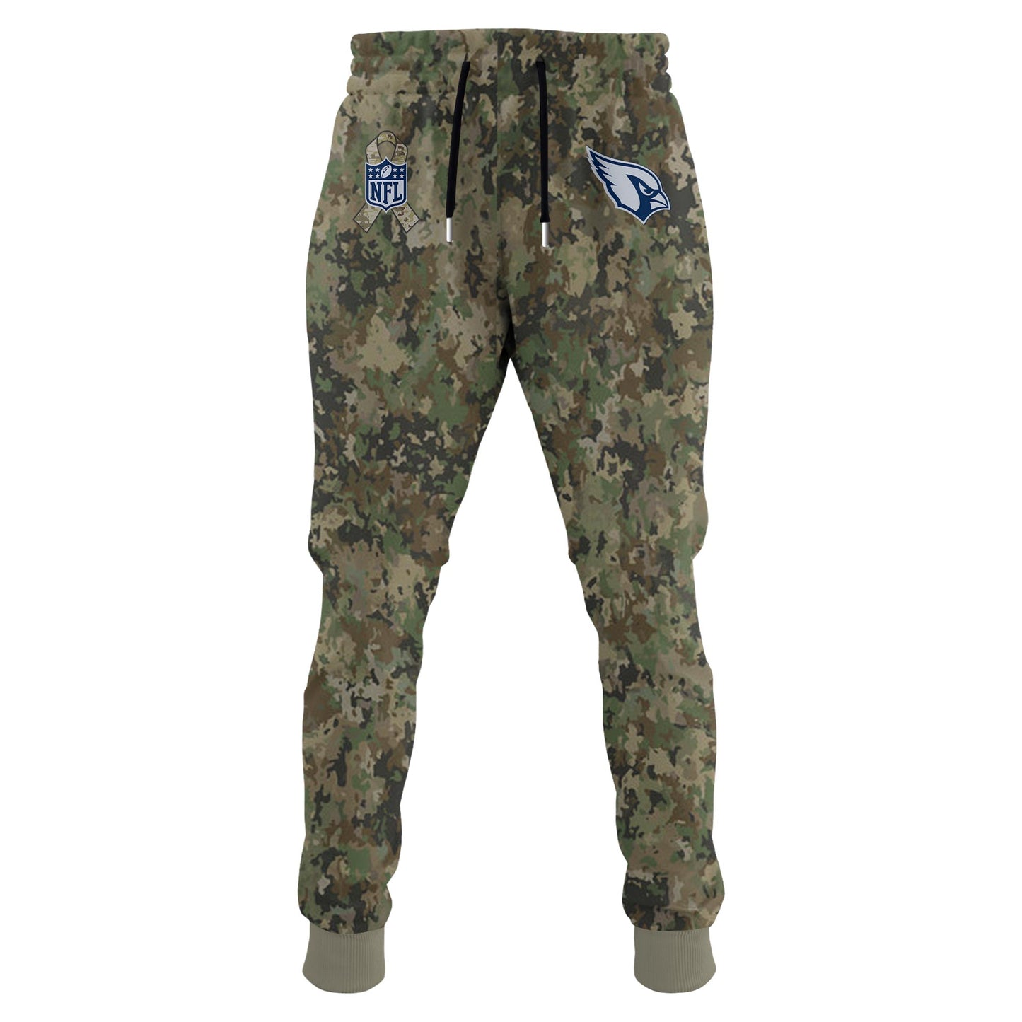 ARI-Navy Veteran 250th Birthday Limited Editions Hoodie