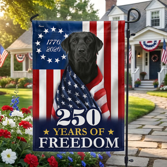 250 Years 1776 2026 Patriotic Black Labrador Retriever American Flag